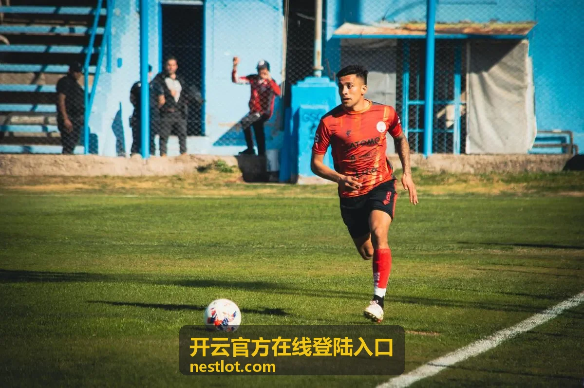 开云官方在线登陆入口验证提示处理示意